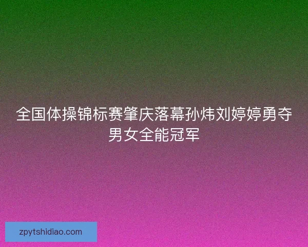 全国体操锦标赛肇庆落幕孙炜刘婷婷勇夺男女全能冠军